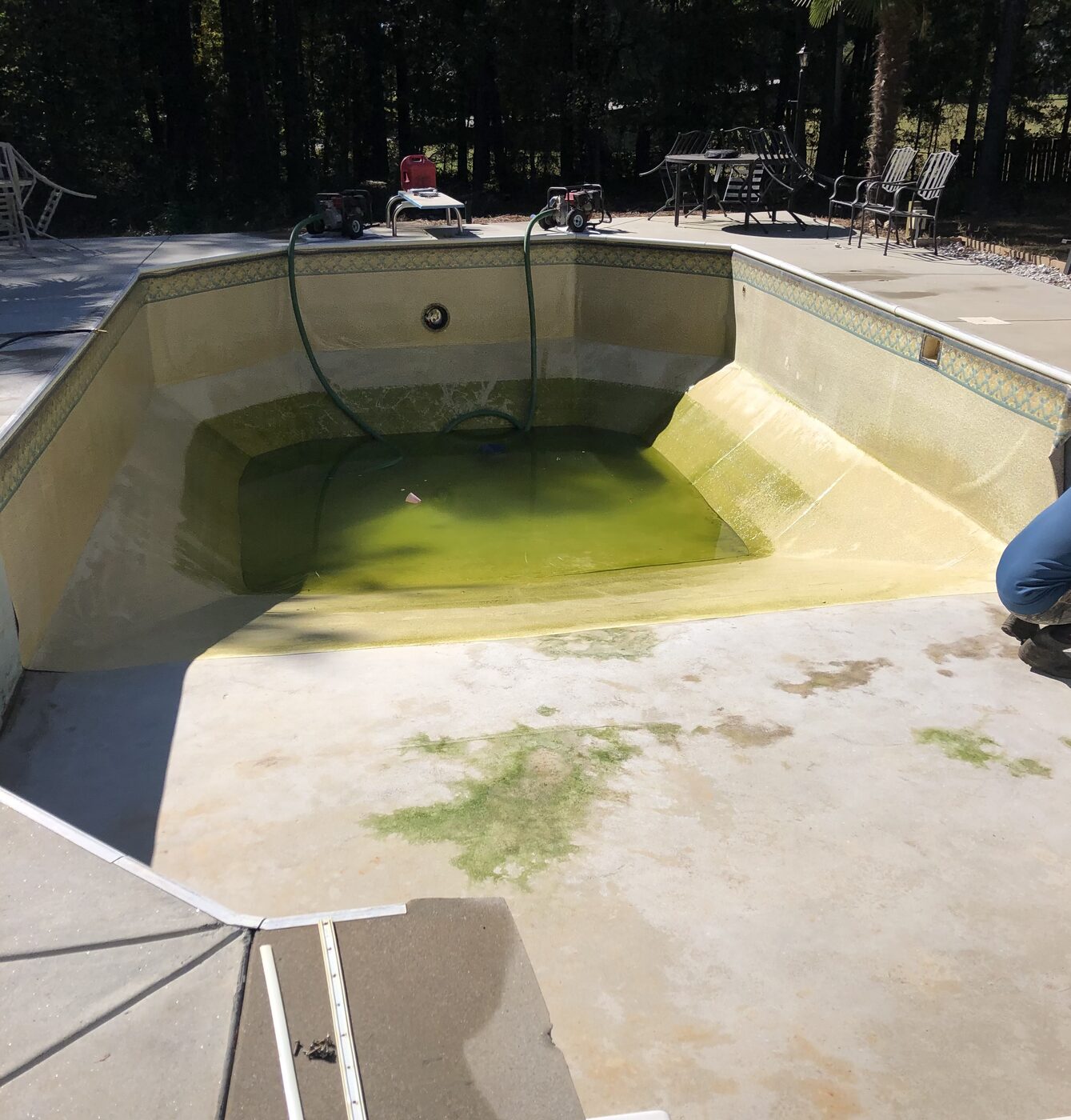 Inground pool with a faded, algae-stained old vinyl liner before replacement