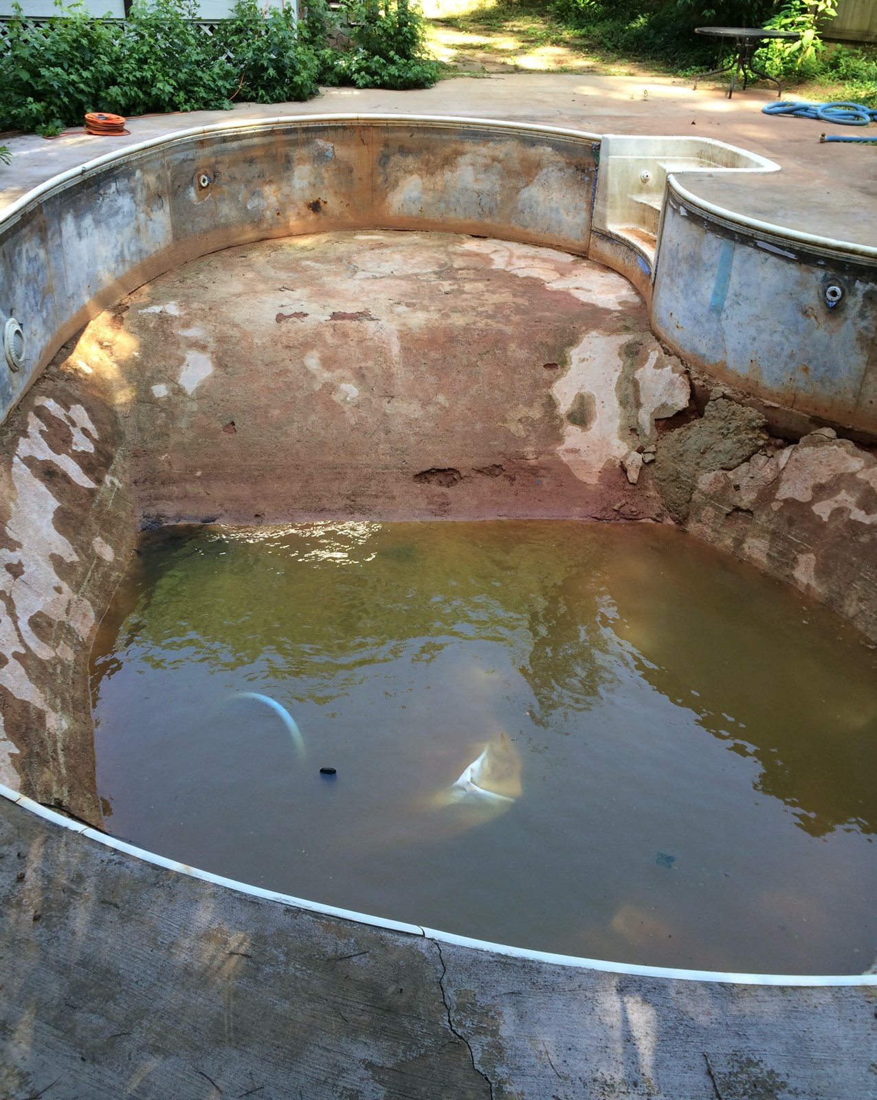 Freeform in-ground swimming pool near Athens, GA stripped down to bare walls and floor before liner replacement